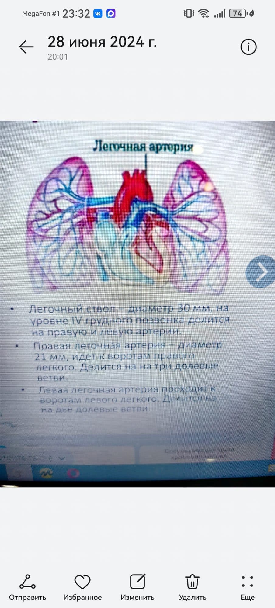 Фотография